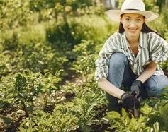 今日焦点 - ng28